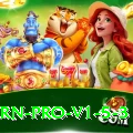 999R Earn Pro v1.5.3