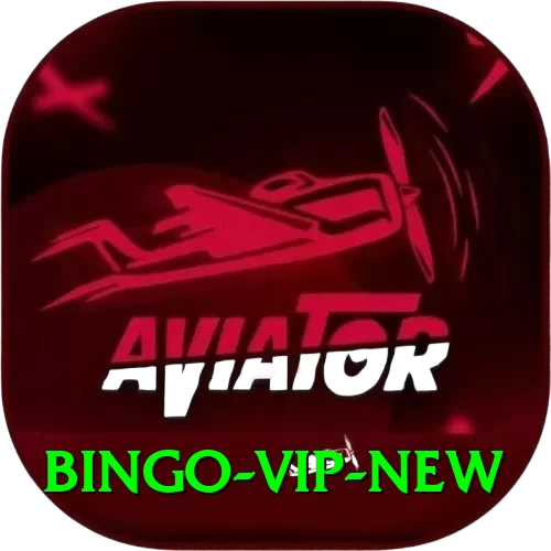 bingo VIP New - 2