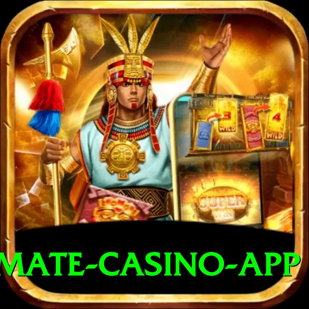 fly33 Ultimate Casino App - 2