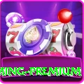 luck22 Gaming Premium